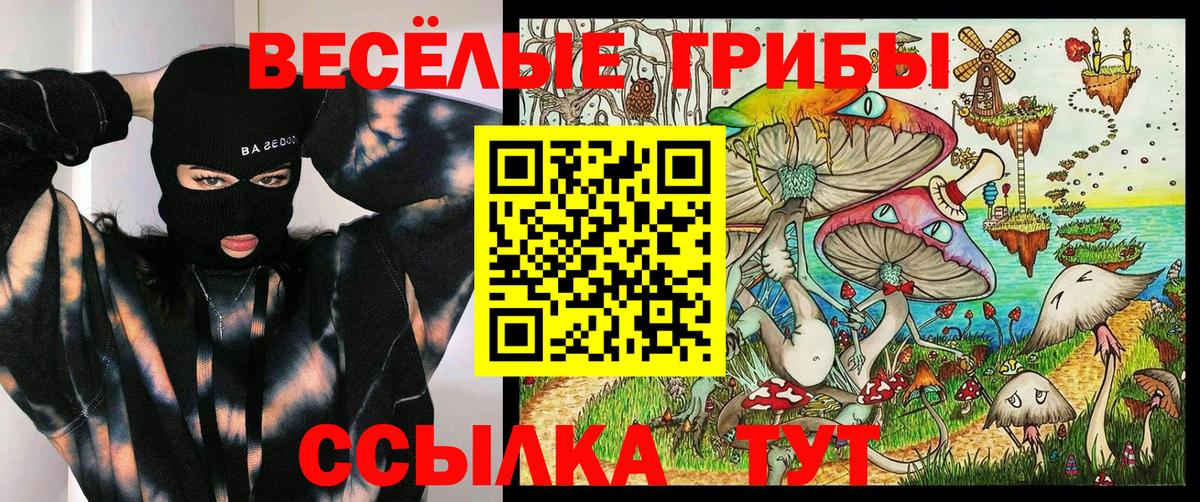 Галлюциногенные грибы прущие грибы Кыштым